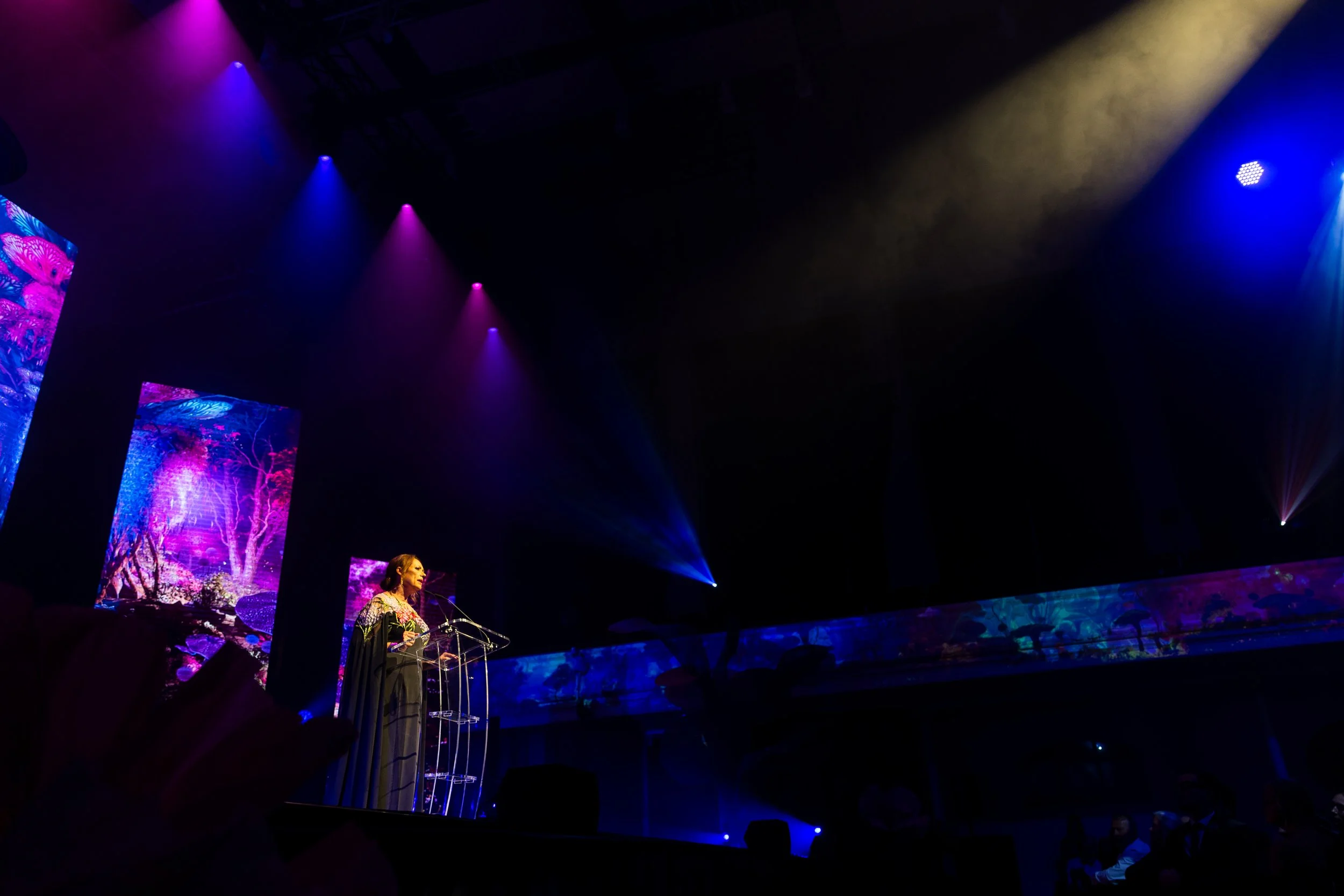 star-gala-26.jpg