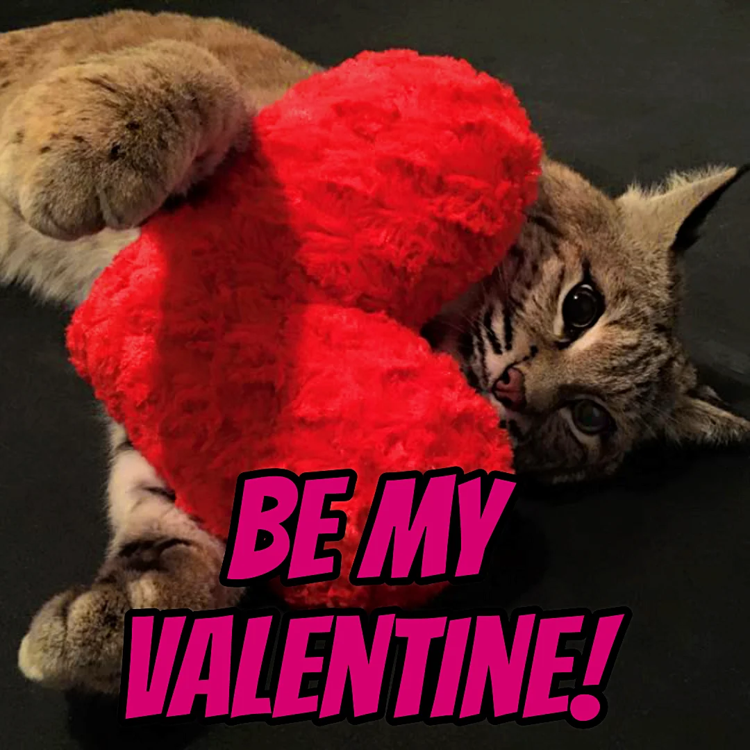 Katara Valentine 2019.jpg