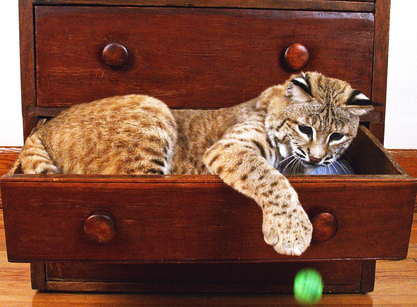 oops…it got away.