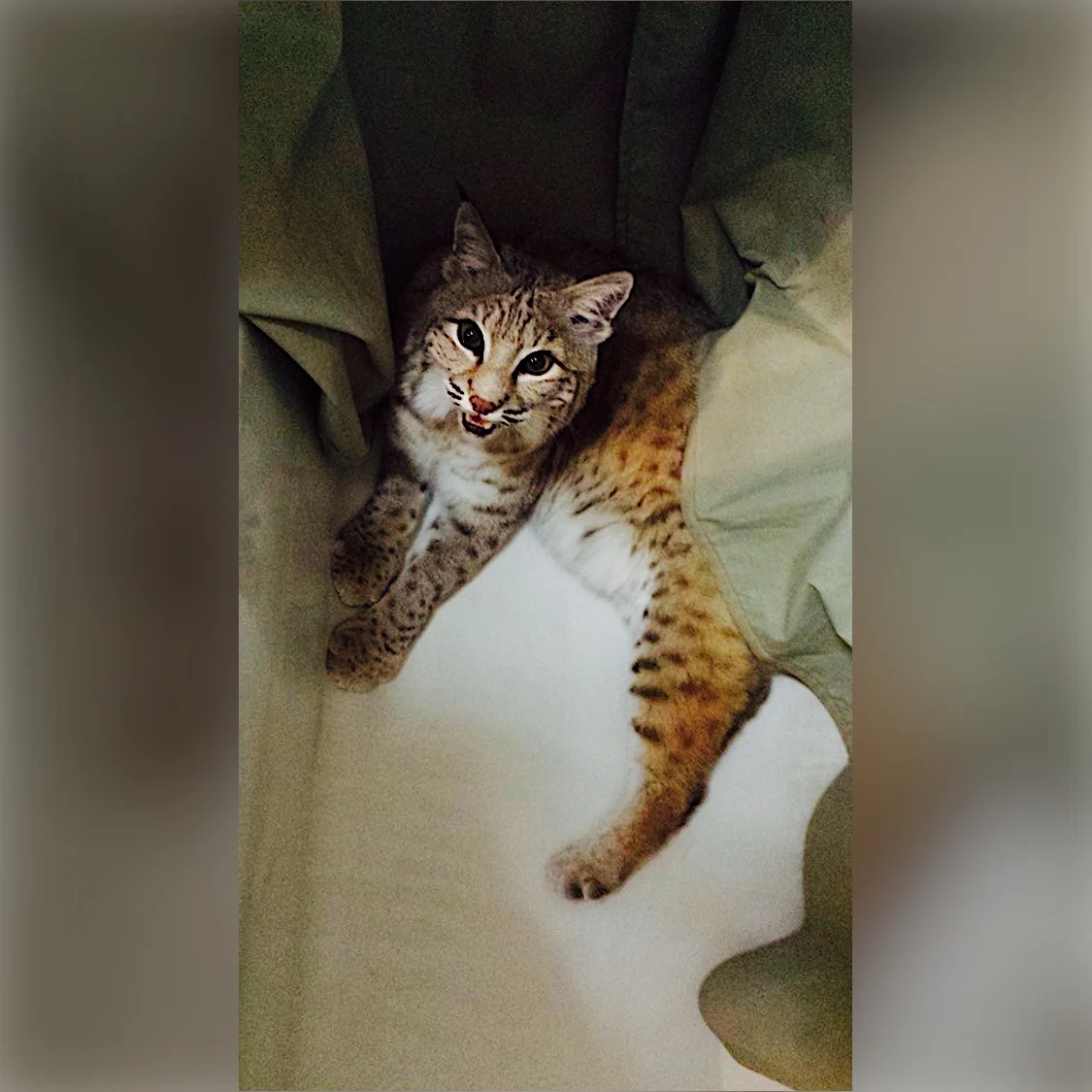 Upon being discovered, Katara quickly plans her escape!