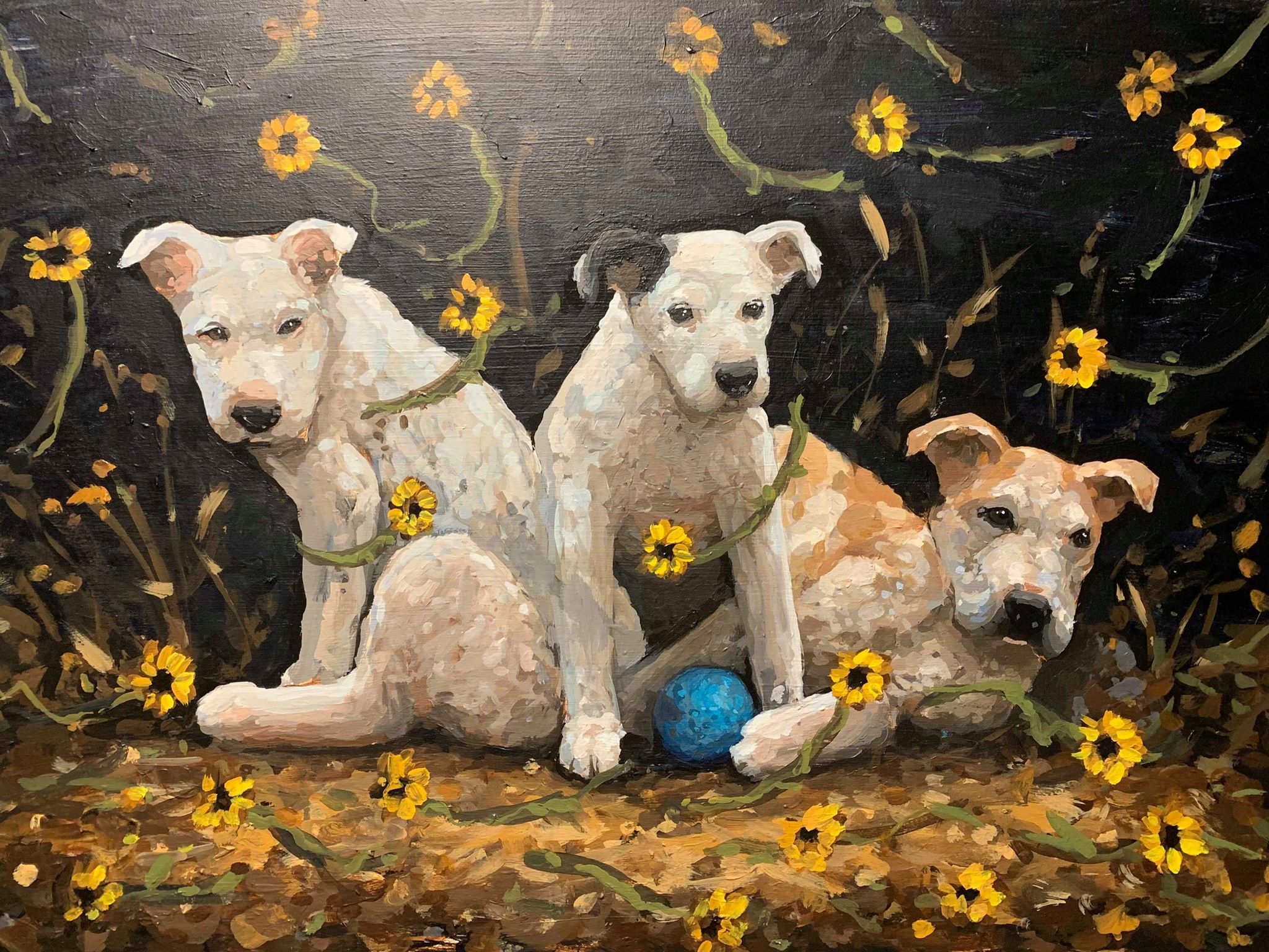 3 Rez Dogs with a Handball, 2019