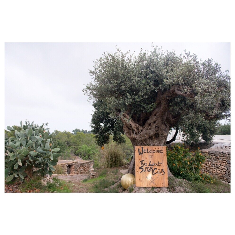 thelastsupperclubibiza.JPG