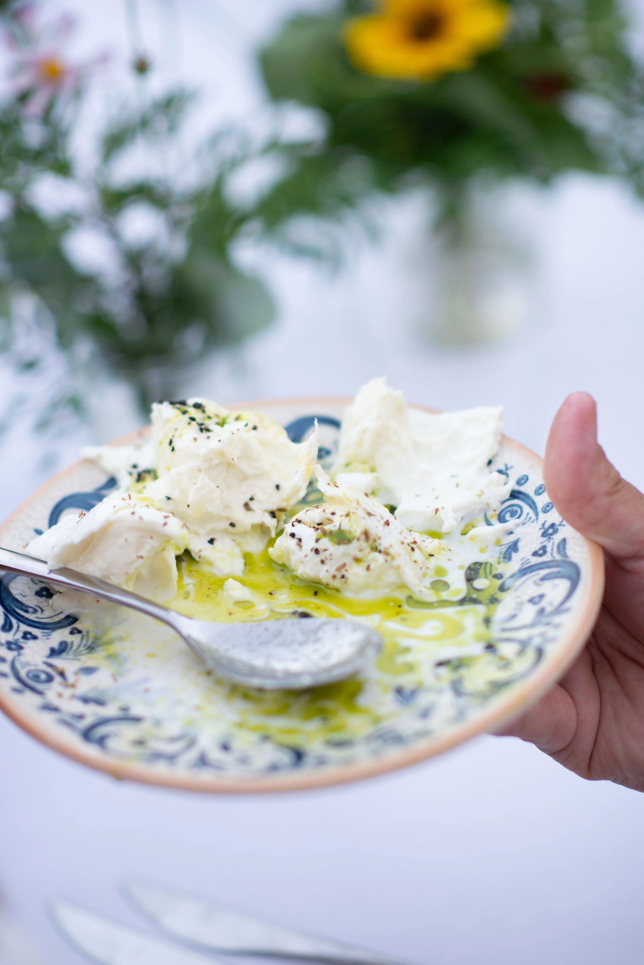 lsccan quince-11.JPG