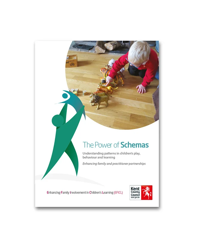 Power of Schemas DVD small in stock.jpg