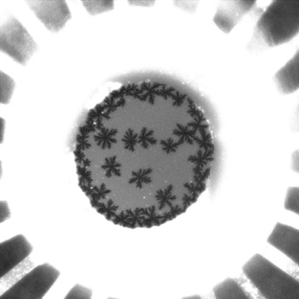 image124.jpeg