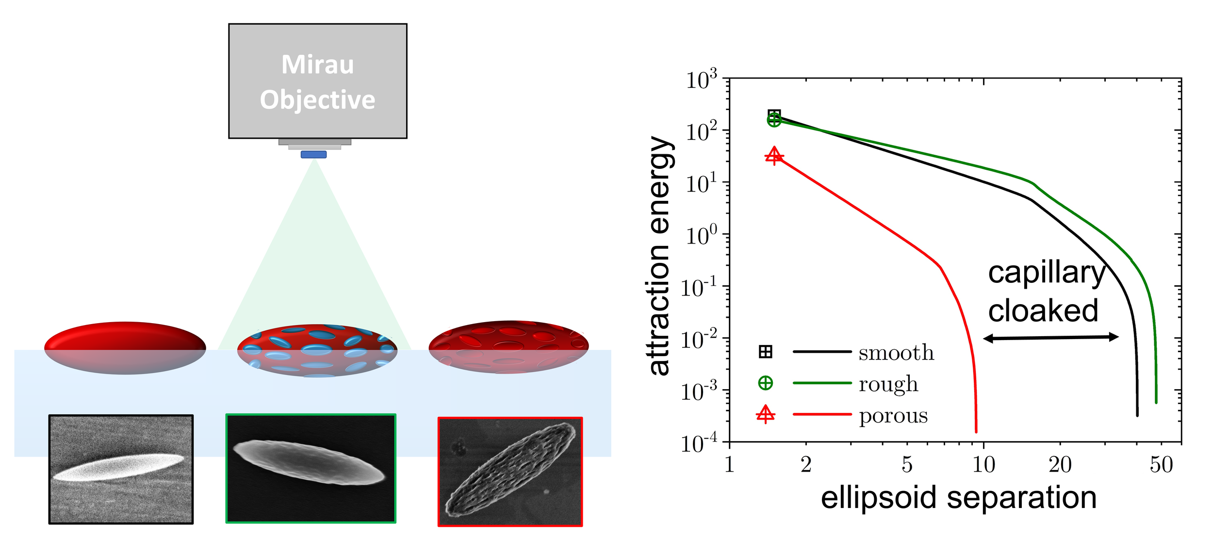 polymer colloids with controlled surface topography