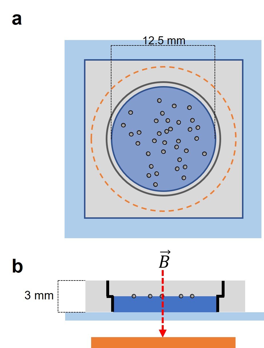 magnetic field assembly setup