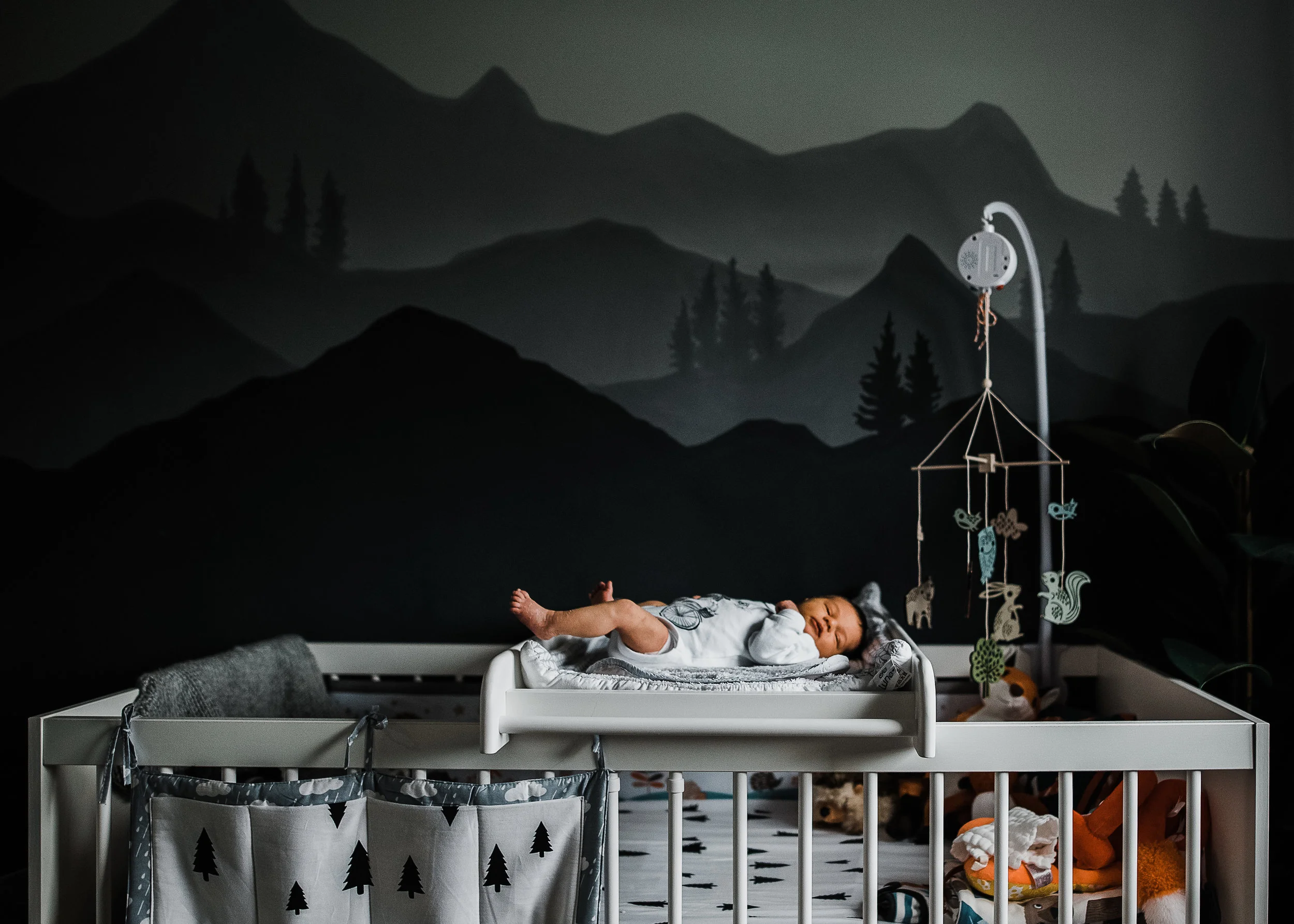 Beautiful Hand painted nursery