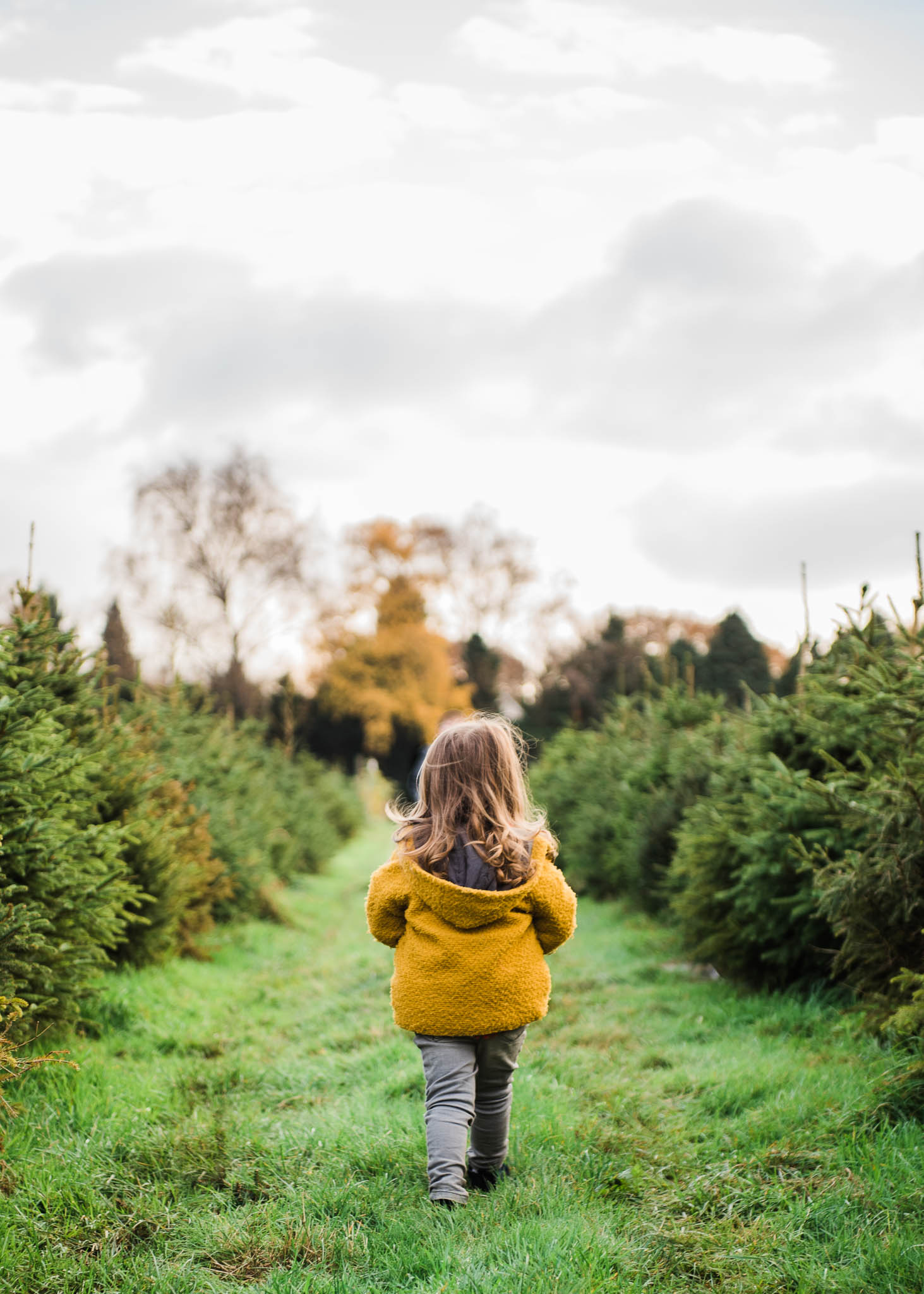 Christmas Tree Farm toddler_CheltenhamPhotographerChuiKingLi-0610.jpg