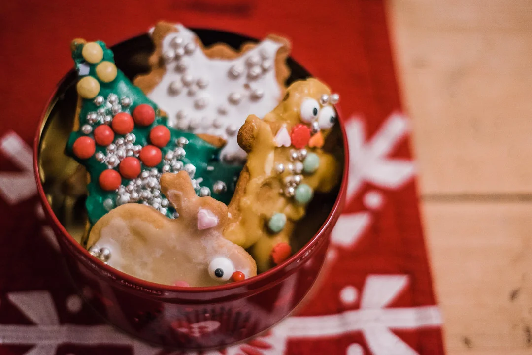 GingerbreadHouse2019_ChuiKingLiPhotography-3248.jpg