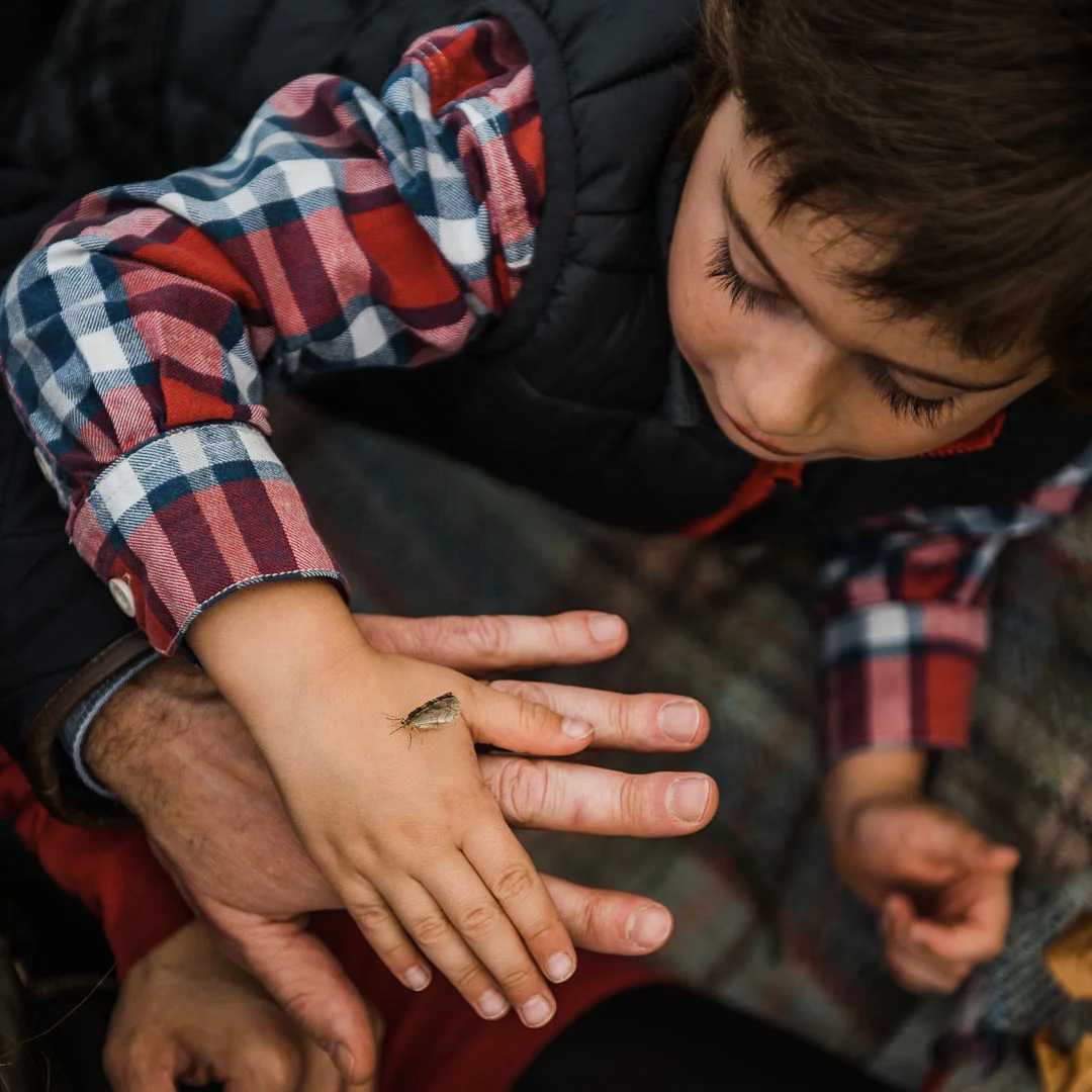 Boy finds a moth on photoshoot Cheltenham Photographer Chui King Li Photography--5.jpg