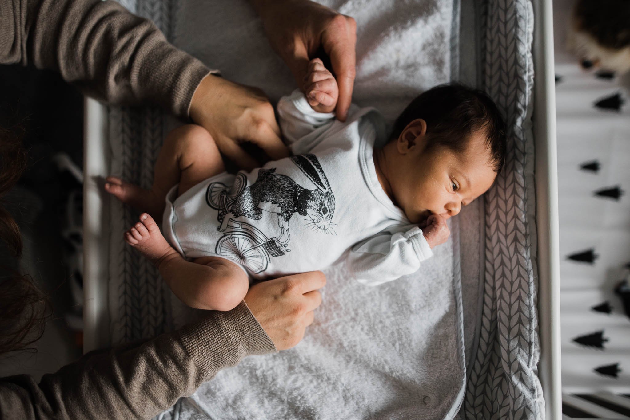 Lifestyle newborn photography of a baby resting peacefully during a calm home session