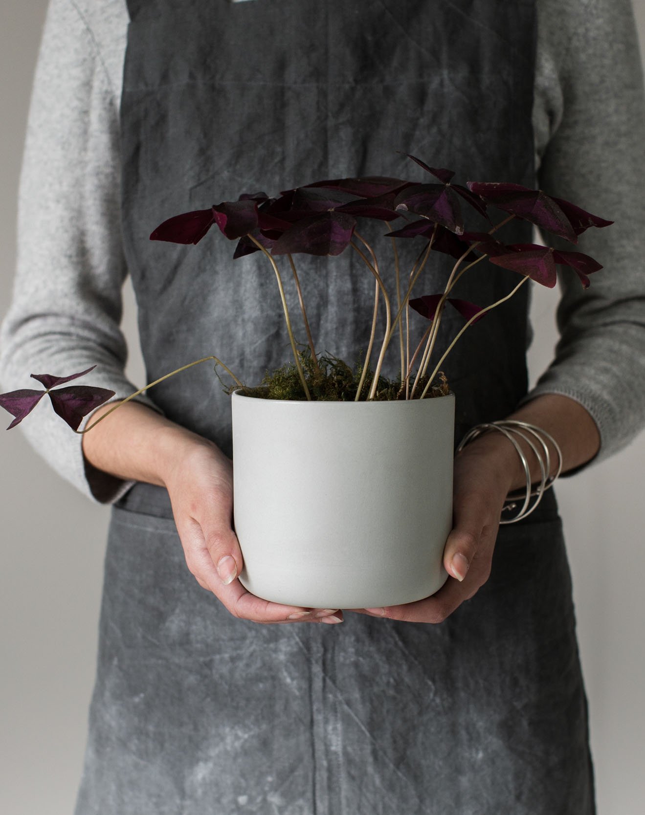 Pippi & Me Ceramics. Earthenware plant holder portrait.jpg