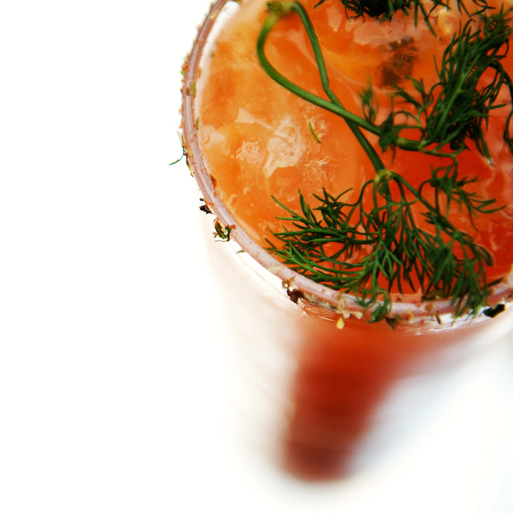 Sea Adventure Series 6.JPG