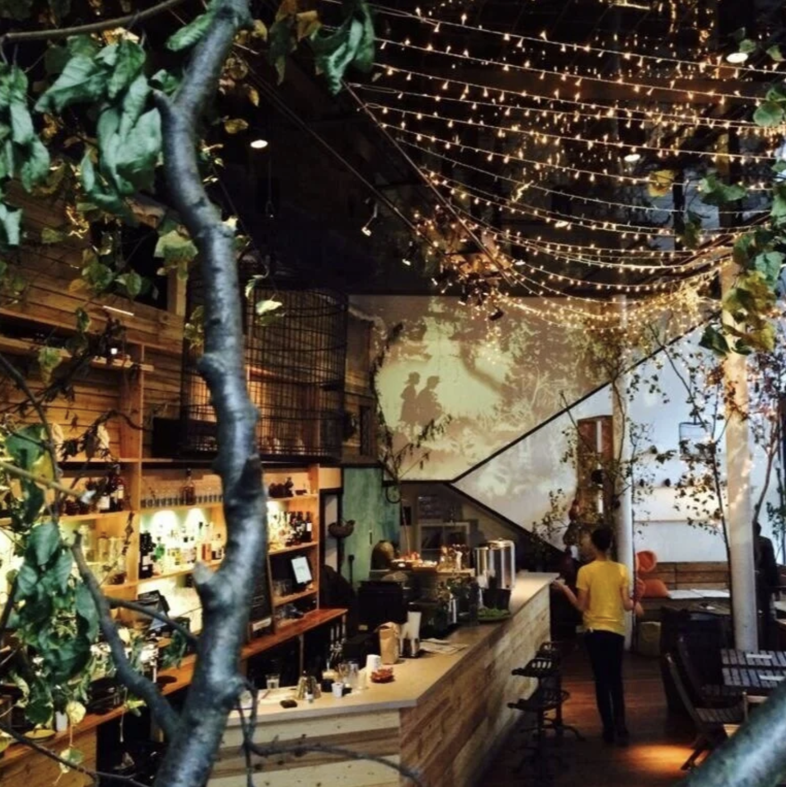 Screenshot 2026-01-06 at 1.49.22 pm.png