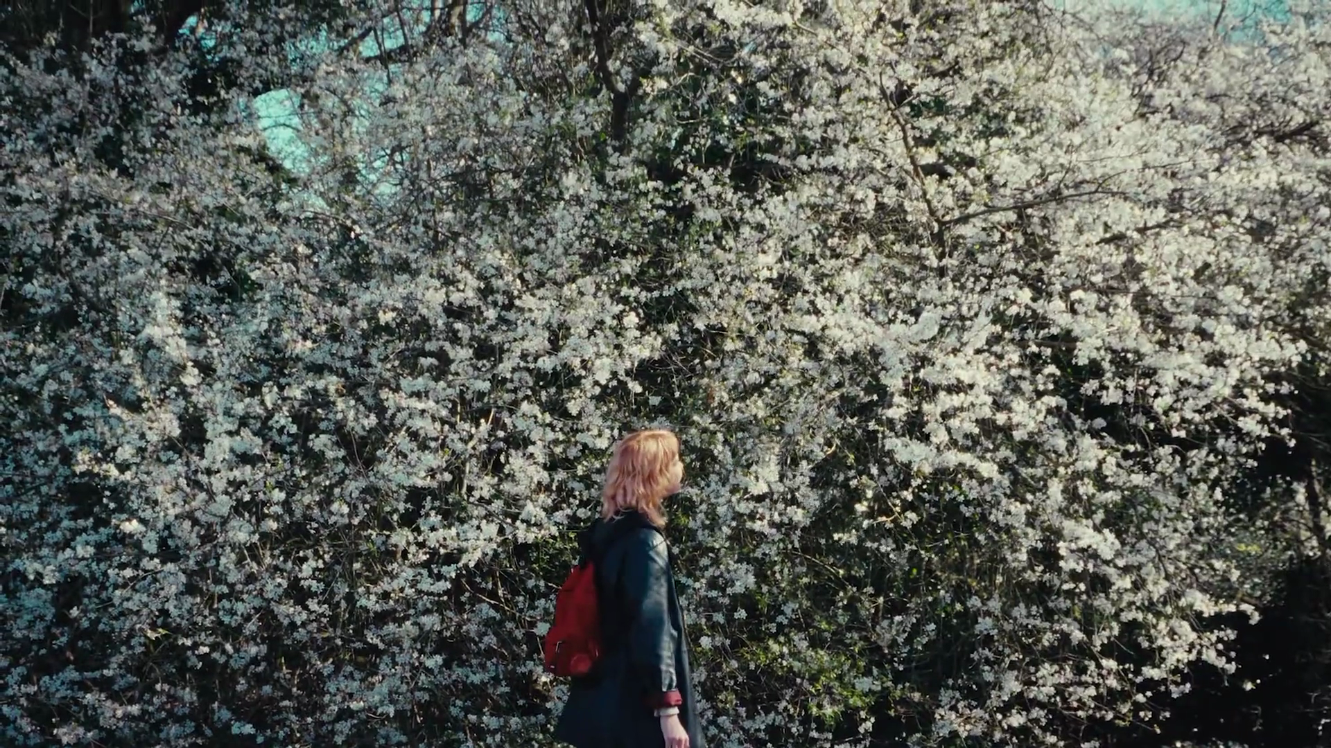 vlcsnap-2021-10-14-20h47m29s180.png