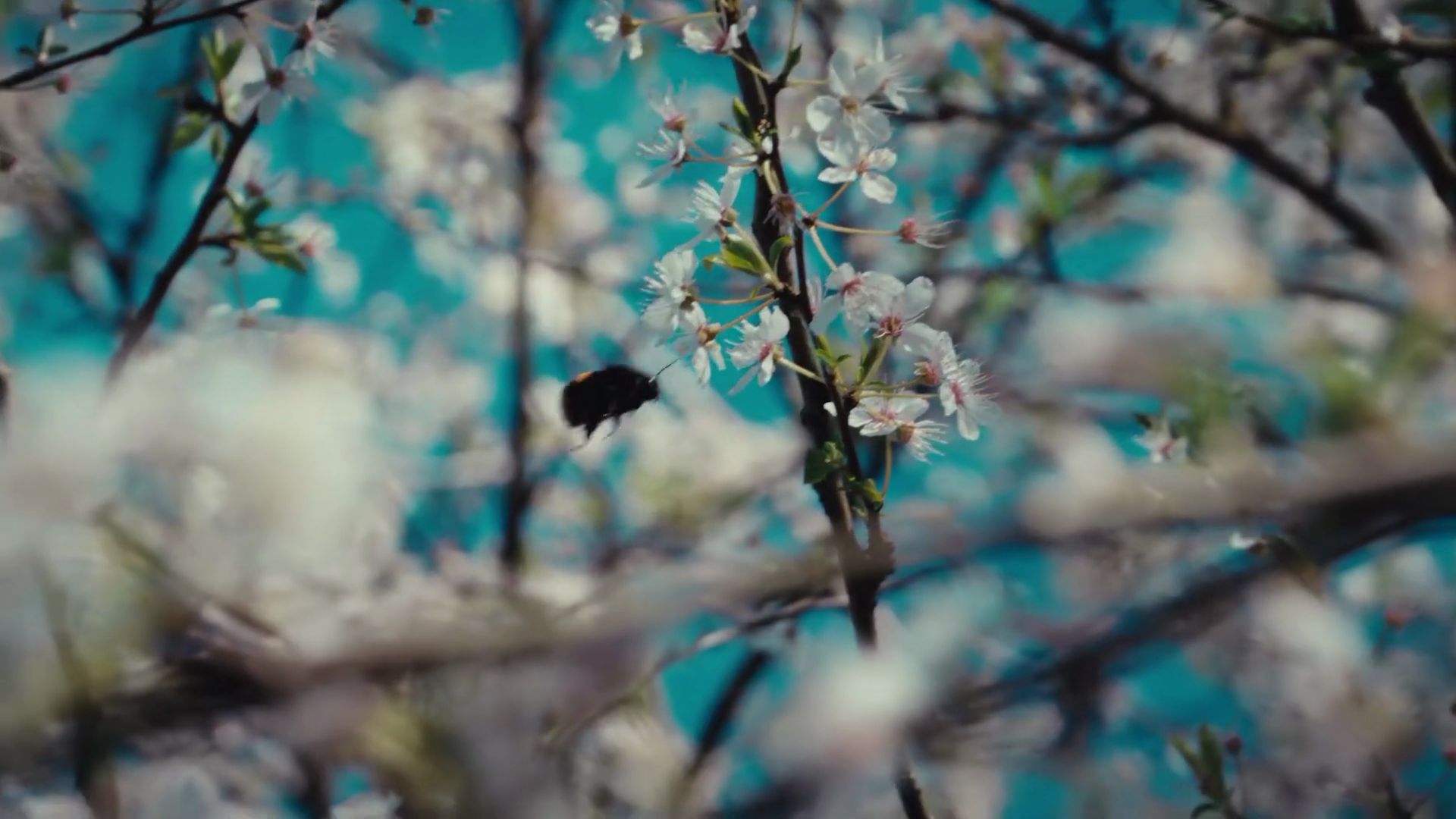 vlcsnap-2021-10-14-20h47m21s687.png