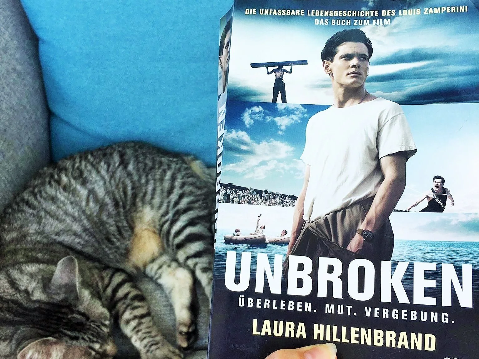 Mein Buch