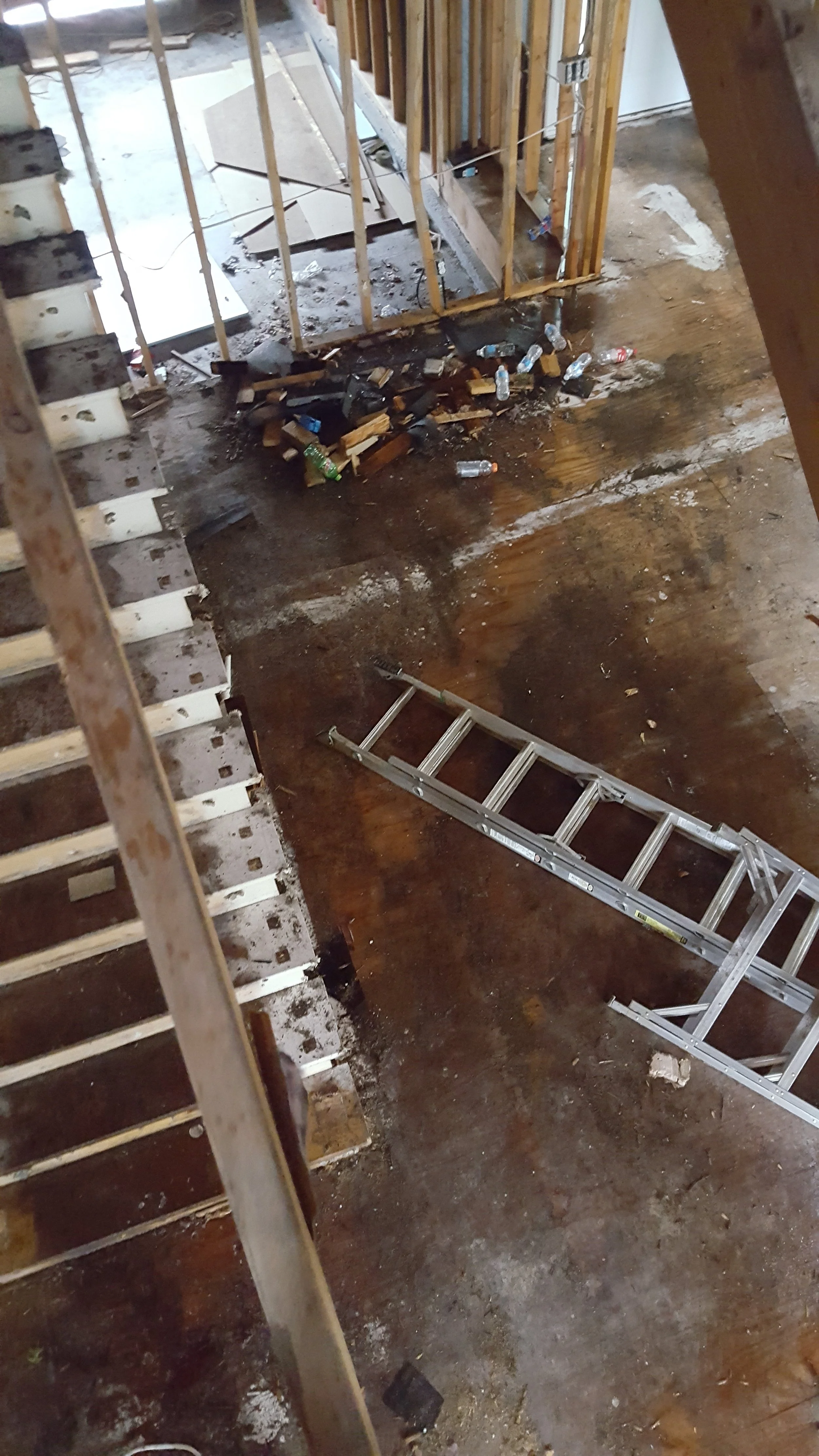20170519_154010.jpg