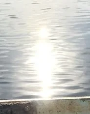 Ladies No 1 Detective Agency: Clearing the Paranormal S1 E20 The Archives: Joshua Tree Park