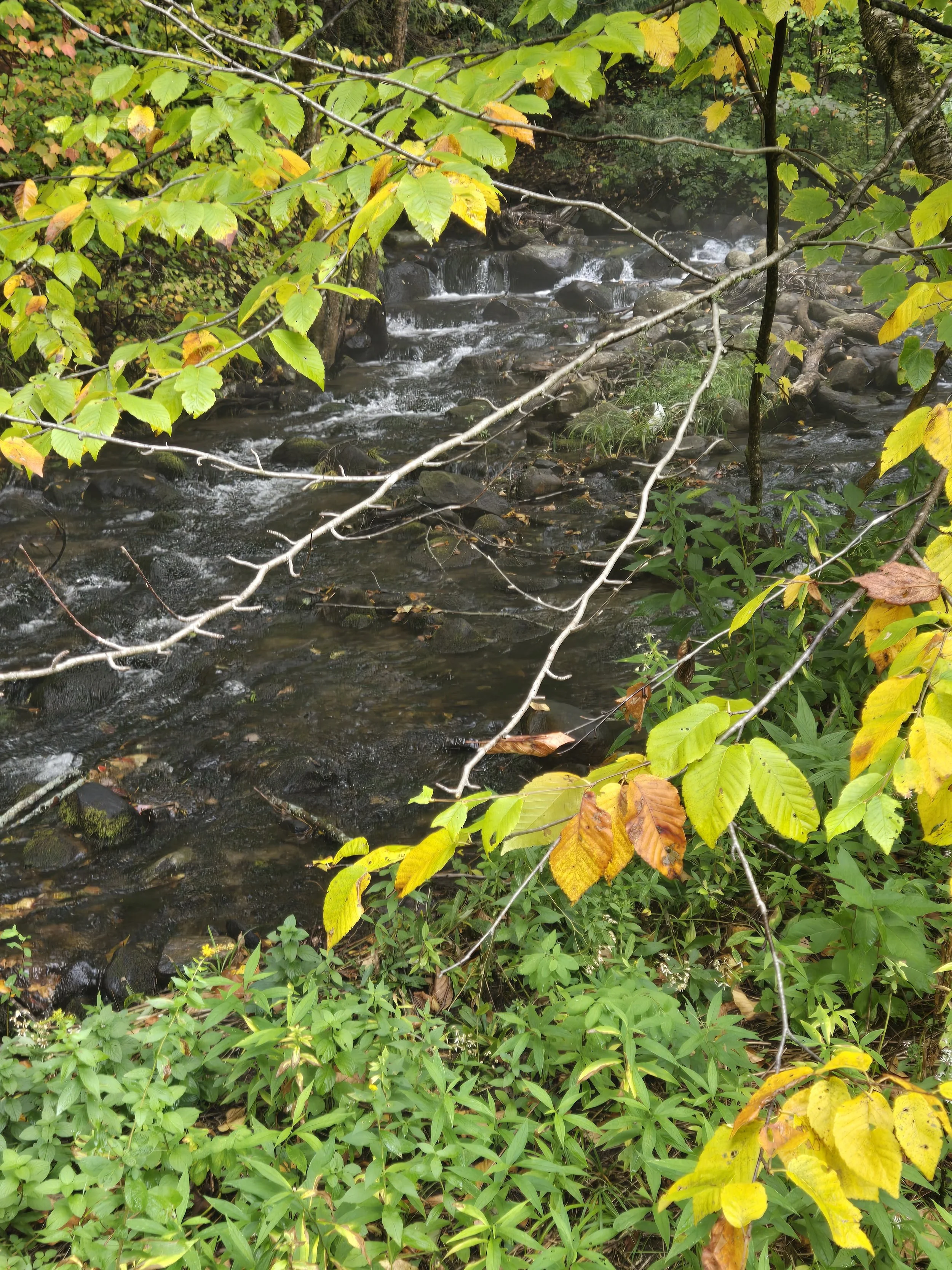 Fall Equinox Global Meditation/Healing Experience