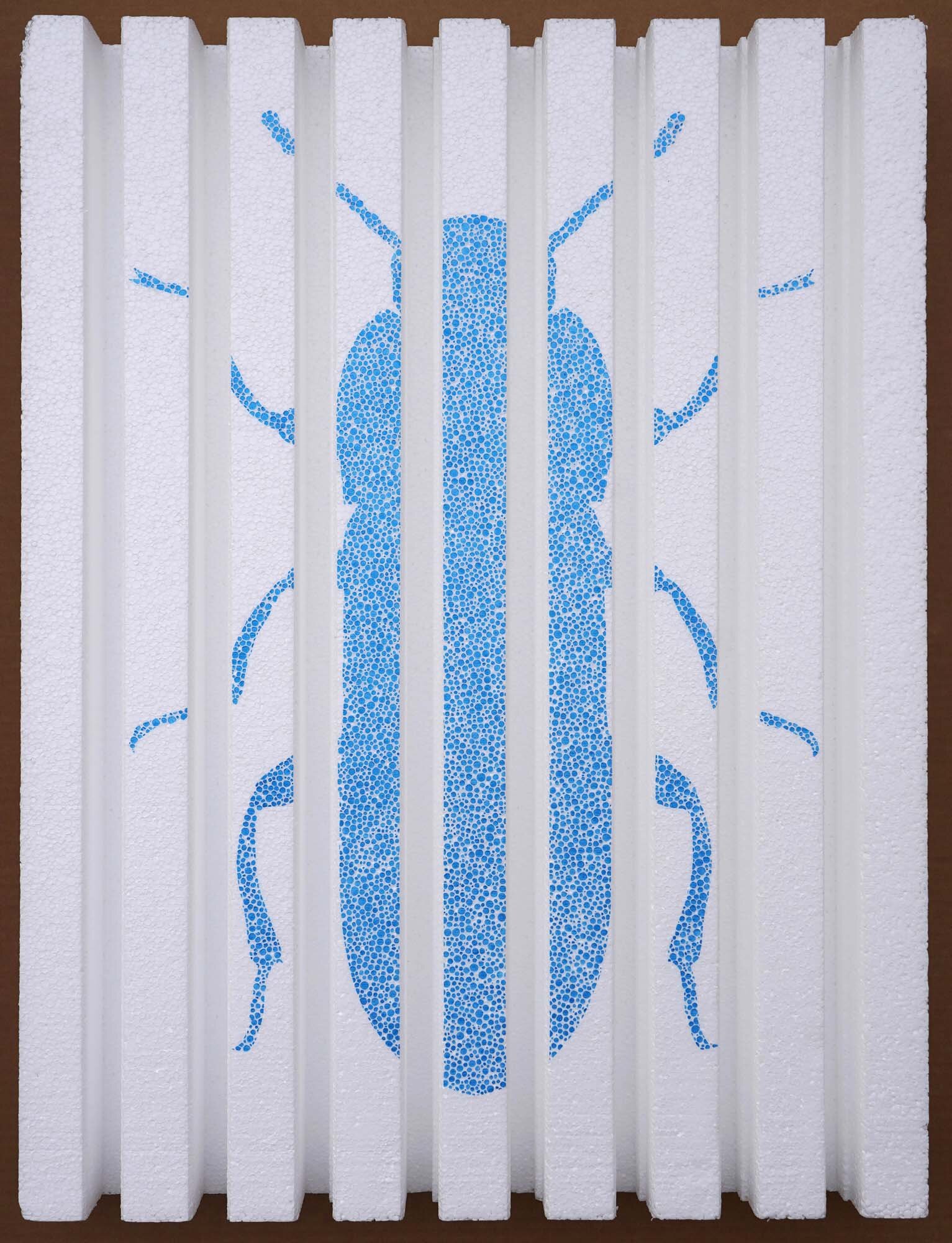 Mealworm Beetle (2020)