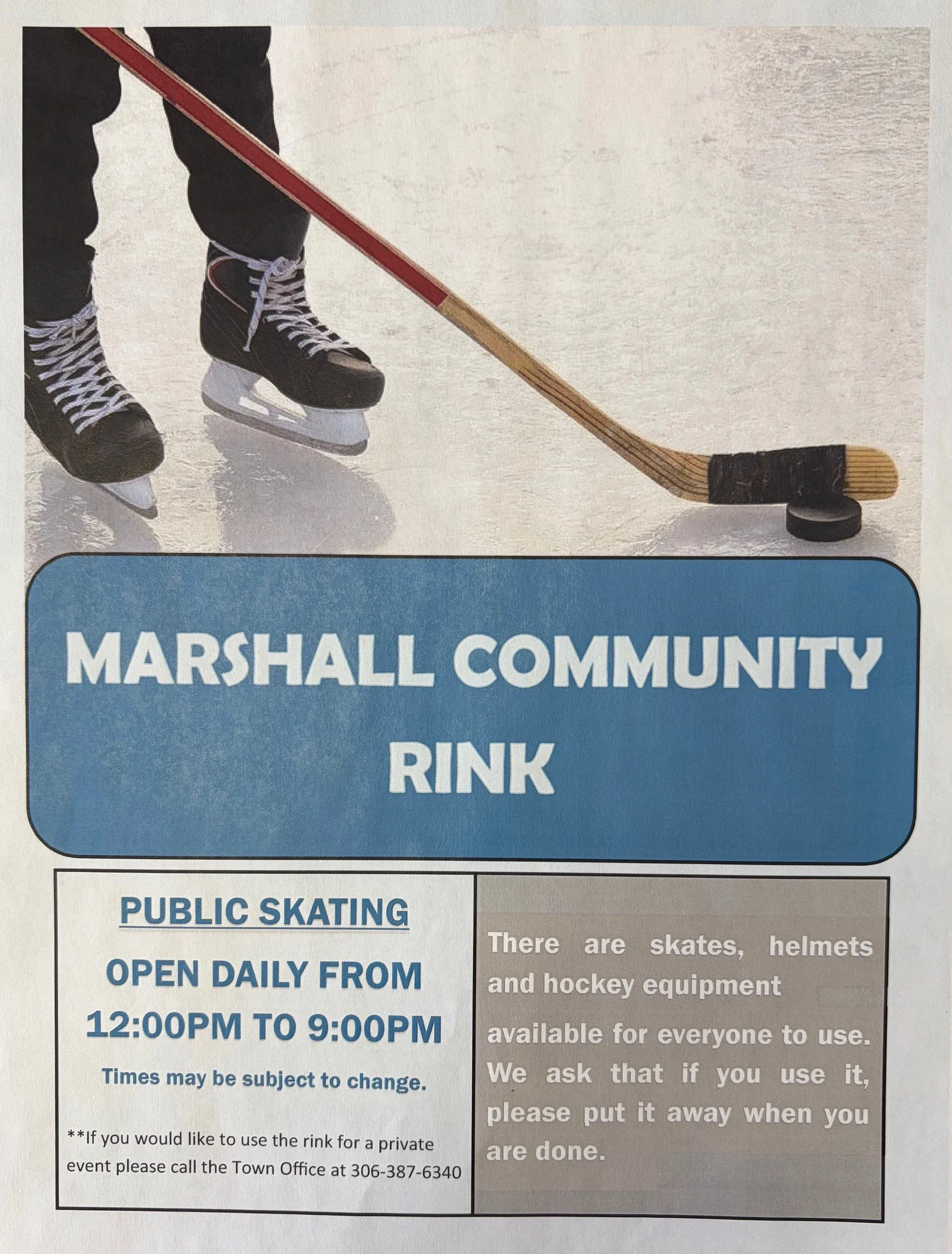 Rink Poster.jpg