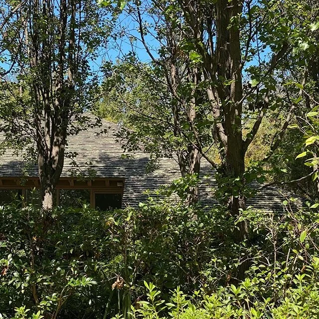 First site visit to our new project in #Canberra. It&rsquo;s going to be awesome. Great location. Great orientation. Great bones. Great people. Now the fun/hard part. We need to create a great design.