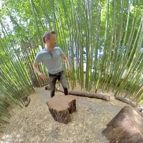 Can you even call it an @archimarathon video if I&rsquo;m not climbing on stuff? #bambooisawesome