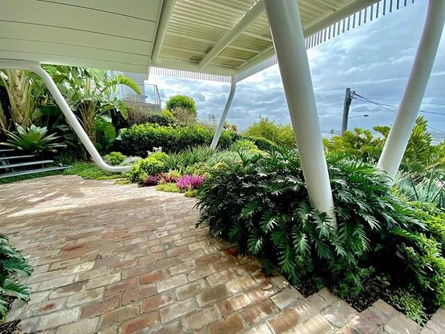 The gardens are consuming #GreenAcresAMA in the best way. Gardens and vegetation are a key part of all @austinmaynardarchitects designs. Our buildings are designed to encourage greenery to envelope them. Insulation, shade, beauty. Photos by @chcbuild