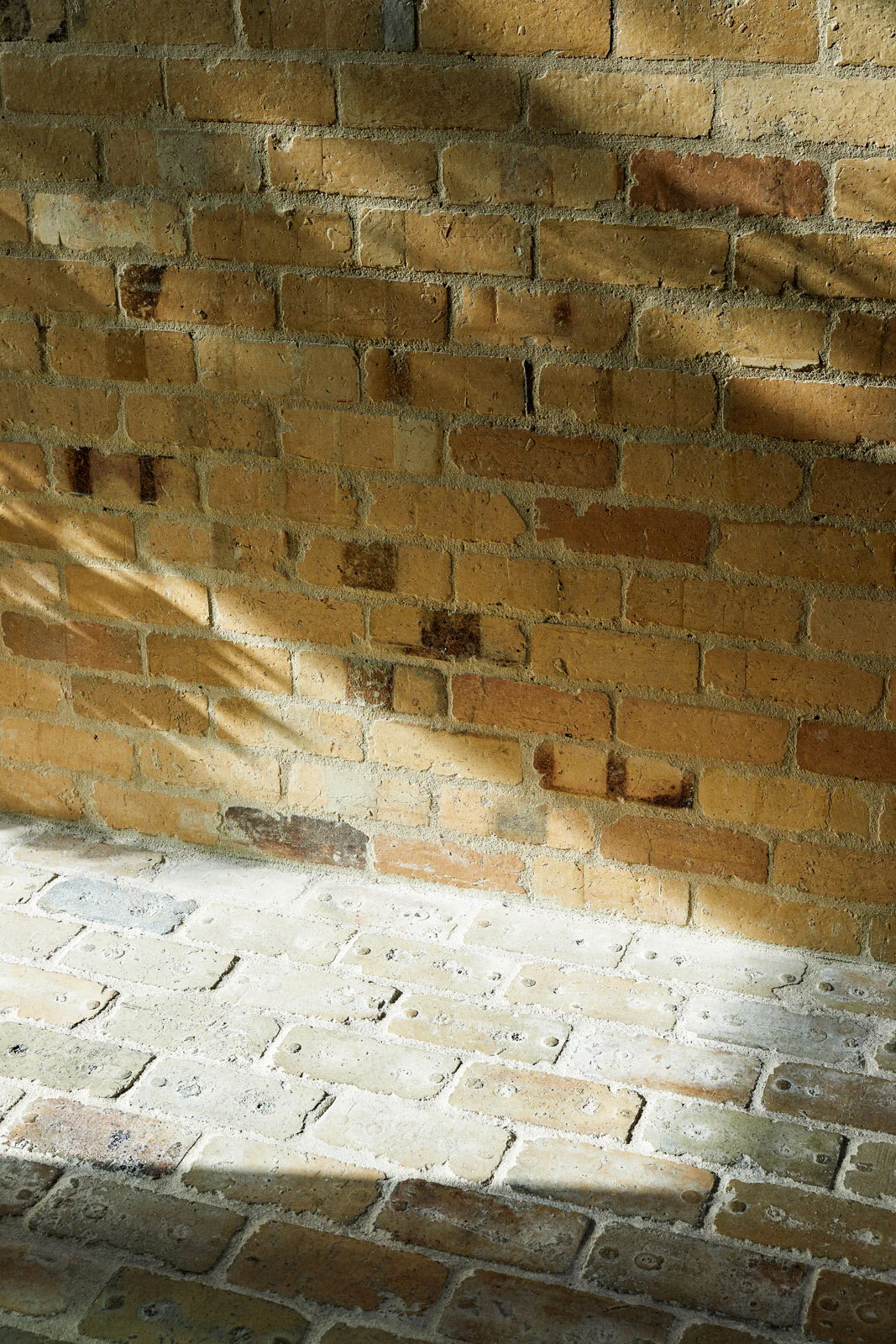 AMA_Garden_House_Derek_Swalwell.091.jpg