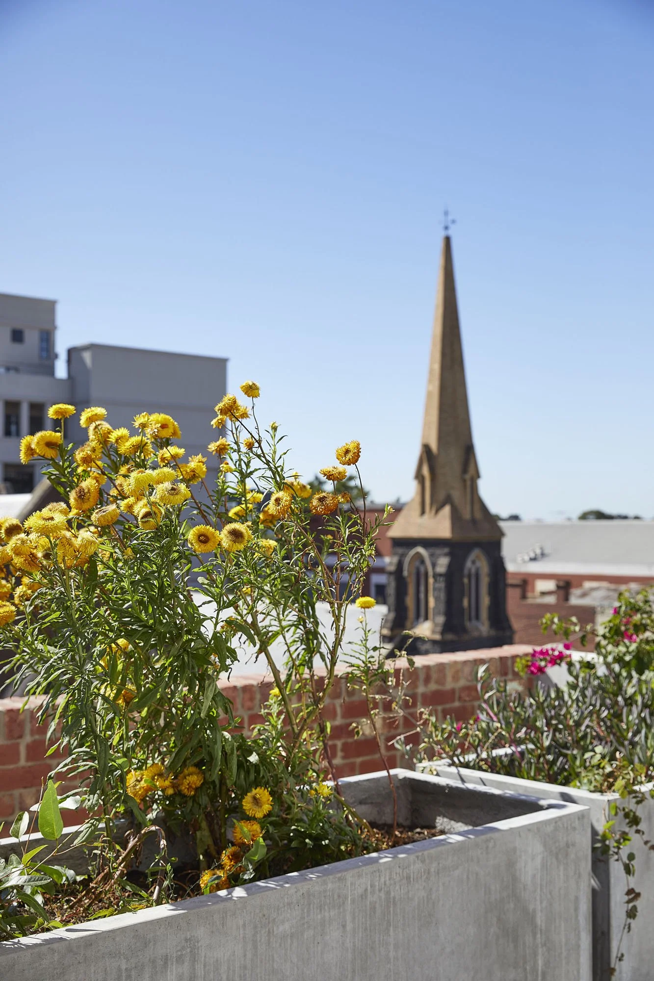 AMA_Terrace__P5A3184.jpg