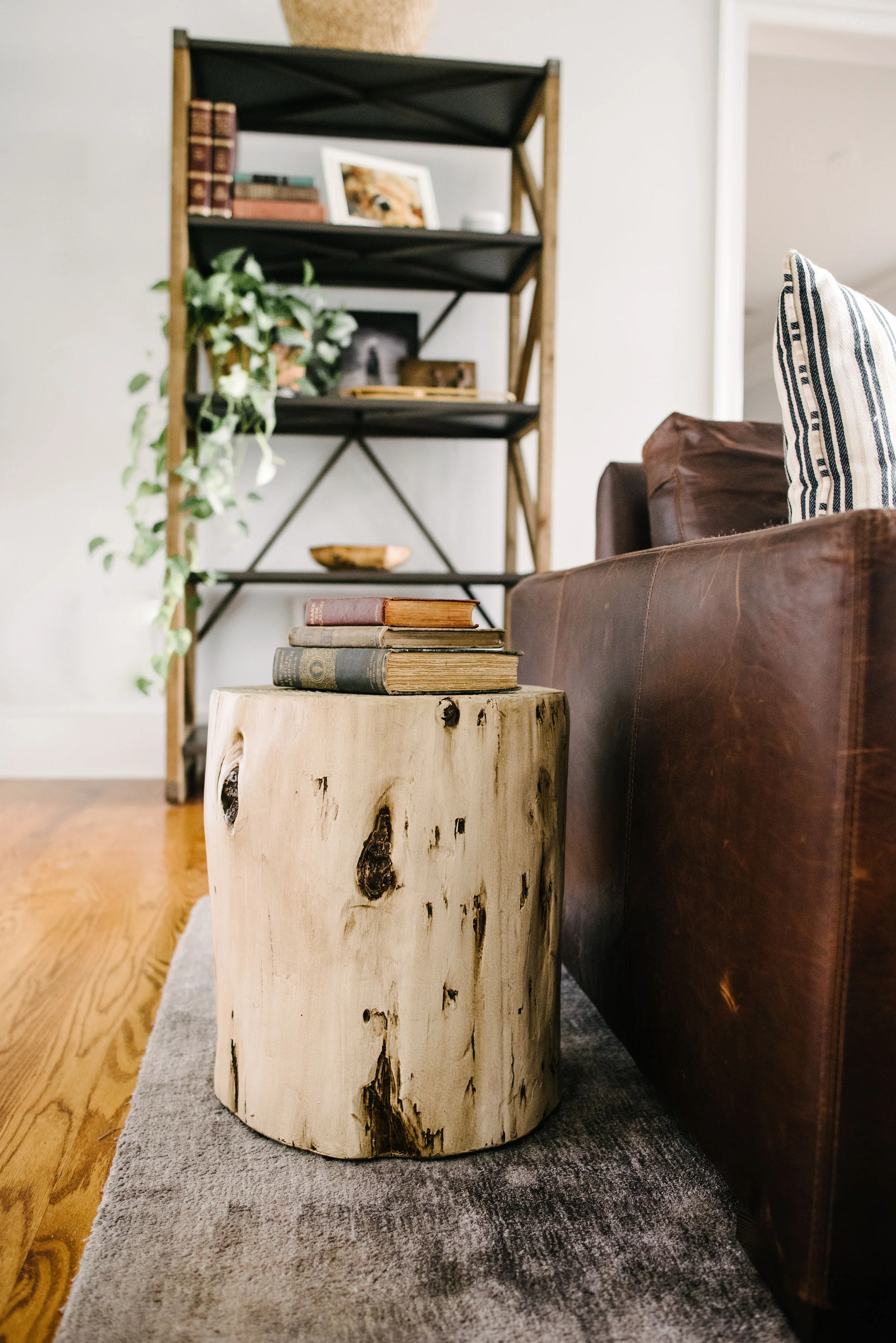 agpcollective_cirajamesdesign2018-9750.jpg