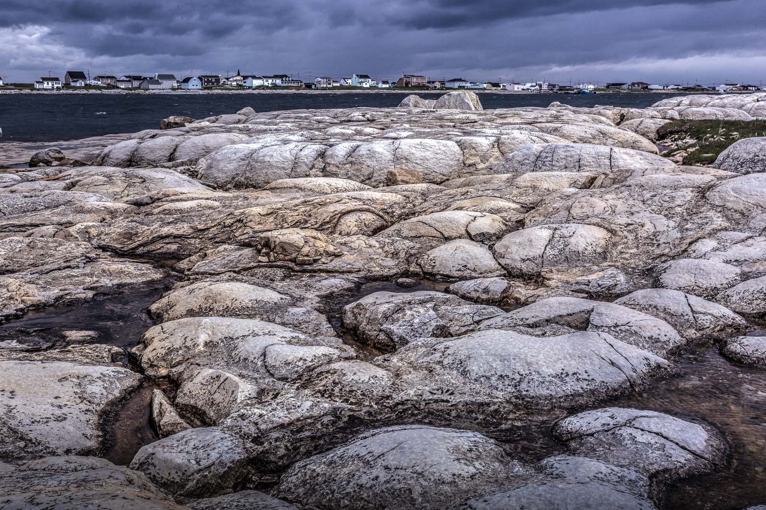 Thrombolites Trail, Flower's Cove 2015.07.09