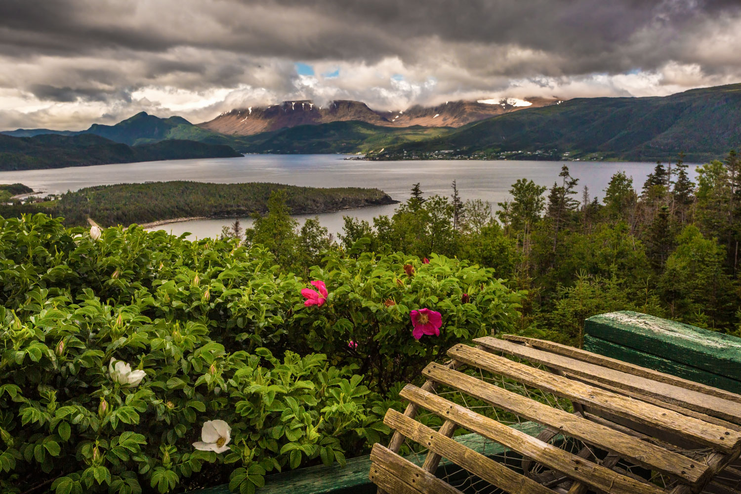 Tablelands from Jenniex House, Norris Point 2015.07.04