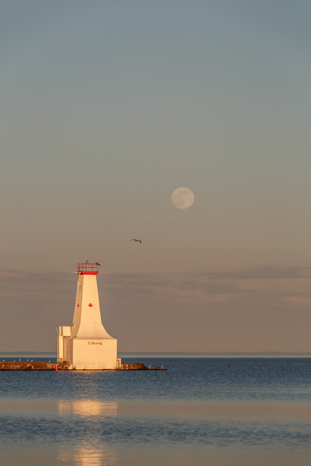 Strawberry Moon Ascending, Cobourg Harbour 2017.06.08