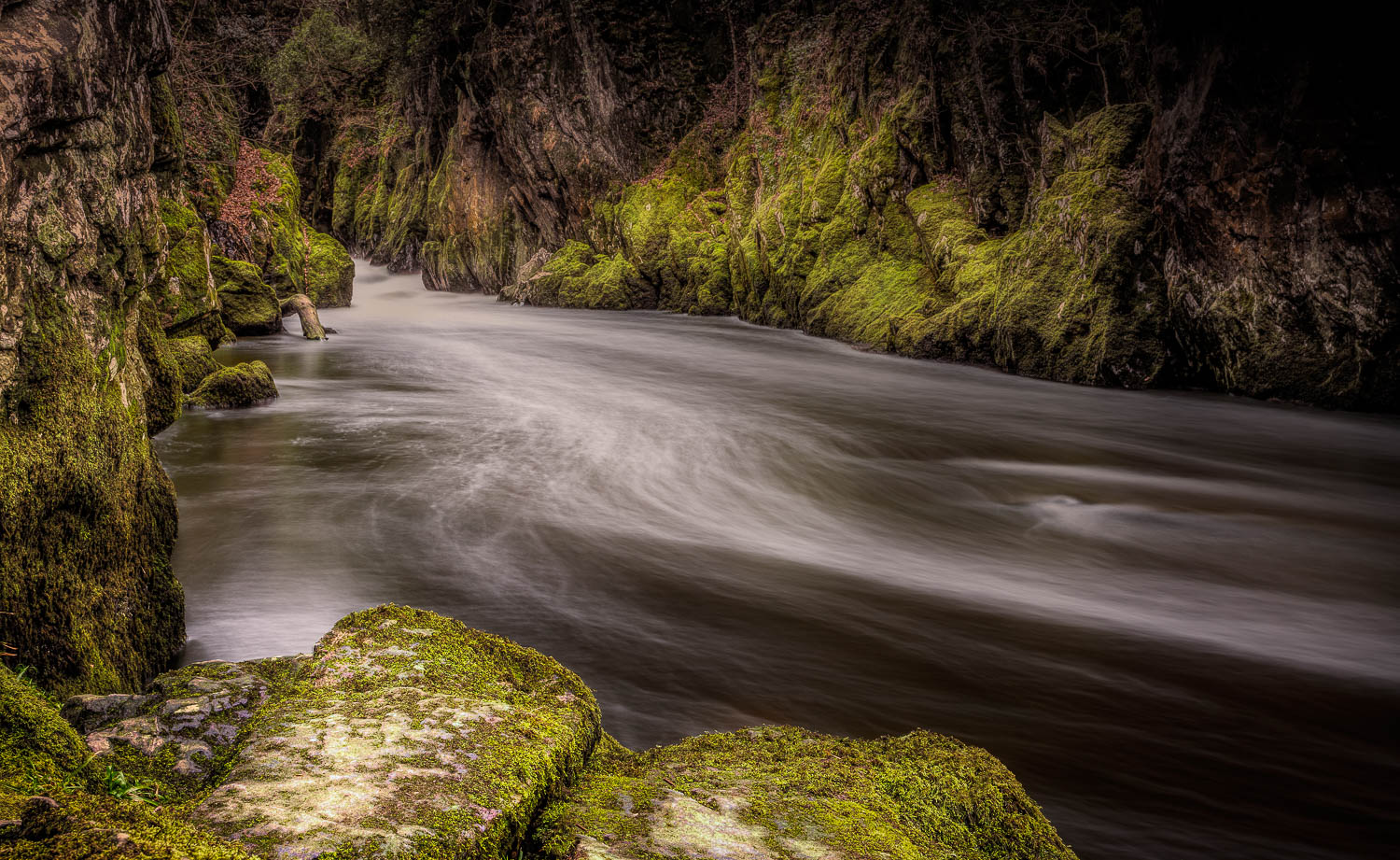 Fairy Glen, River Conwy 2019.03.10