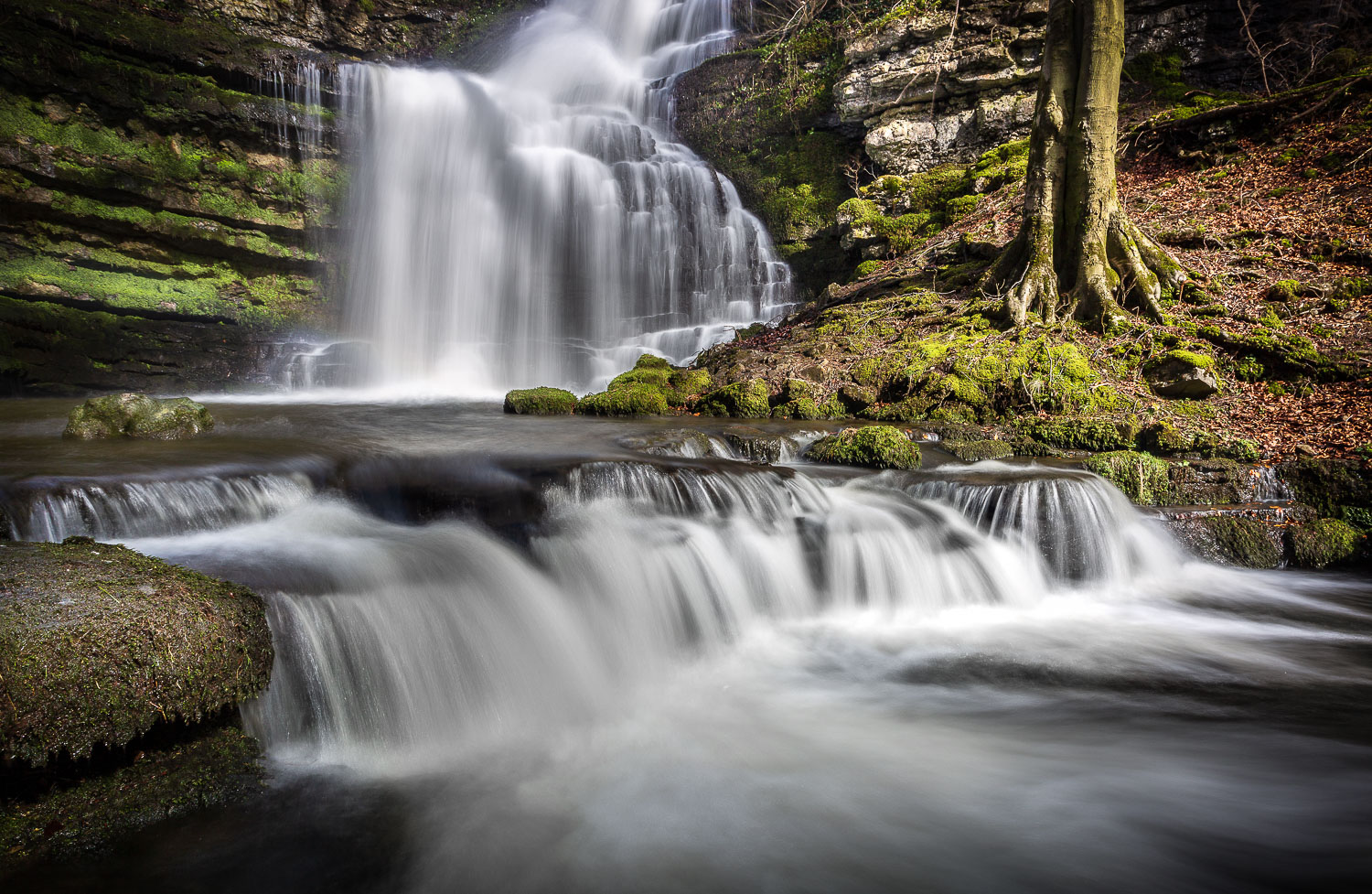 Scaleber Force, Yorkshire Dales 2019.03.15