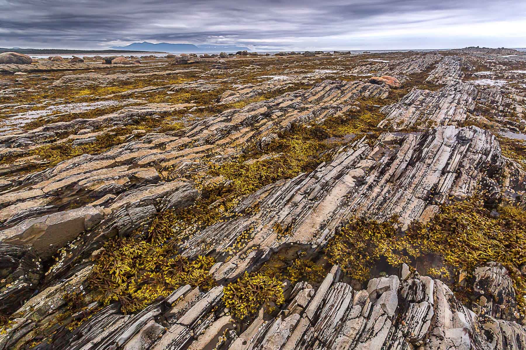 Green Point, Gros Morne National Park 2015.07.06