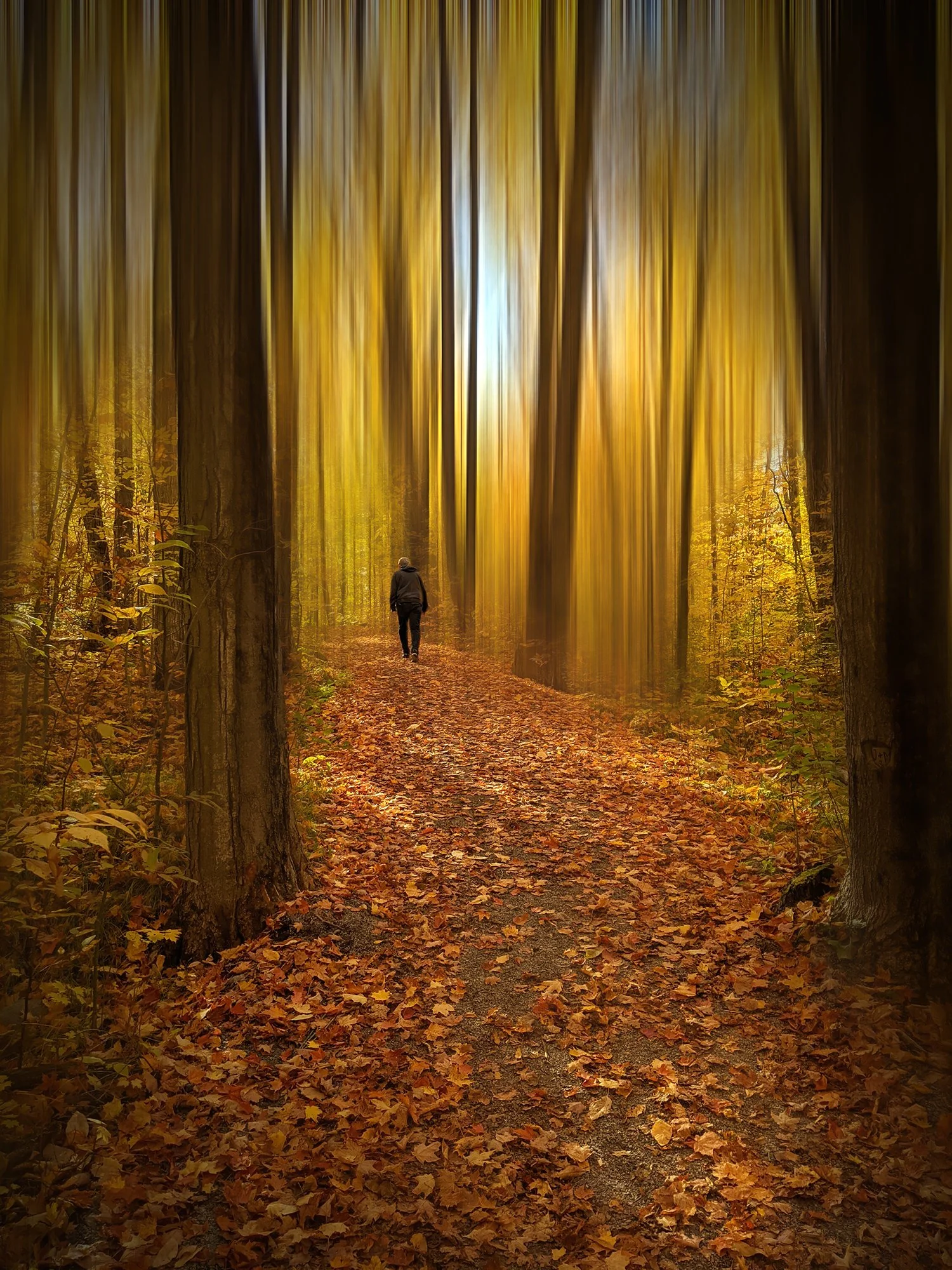 Along the Autumn Trail 2020.10.11