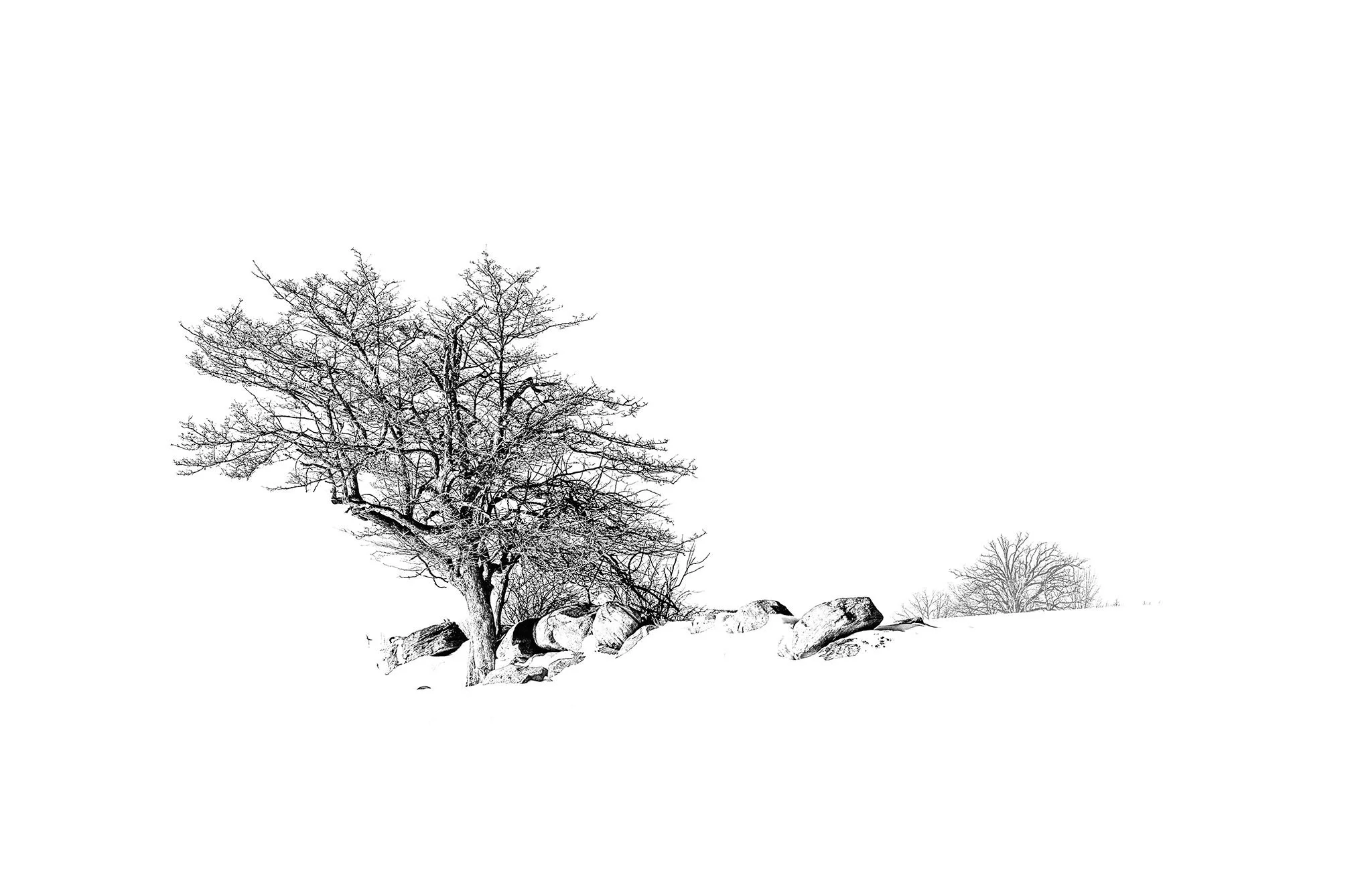Mount Horeb Road 2022.01.20