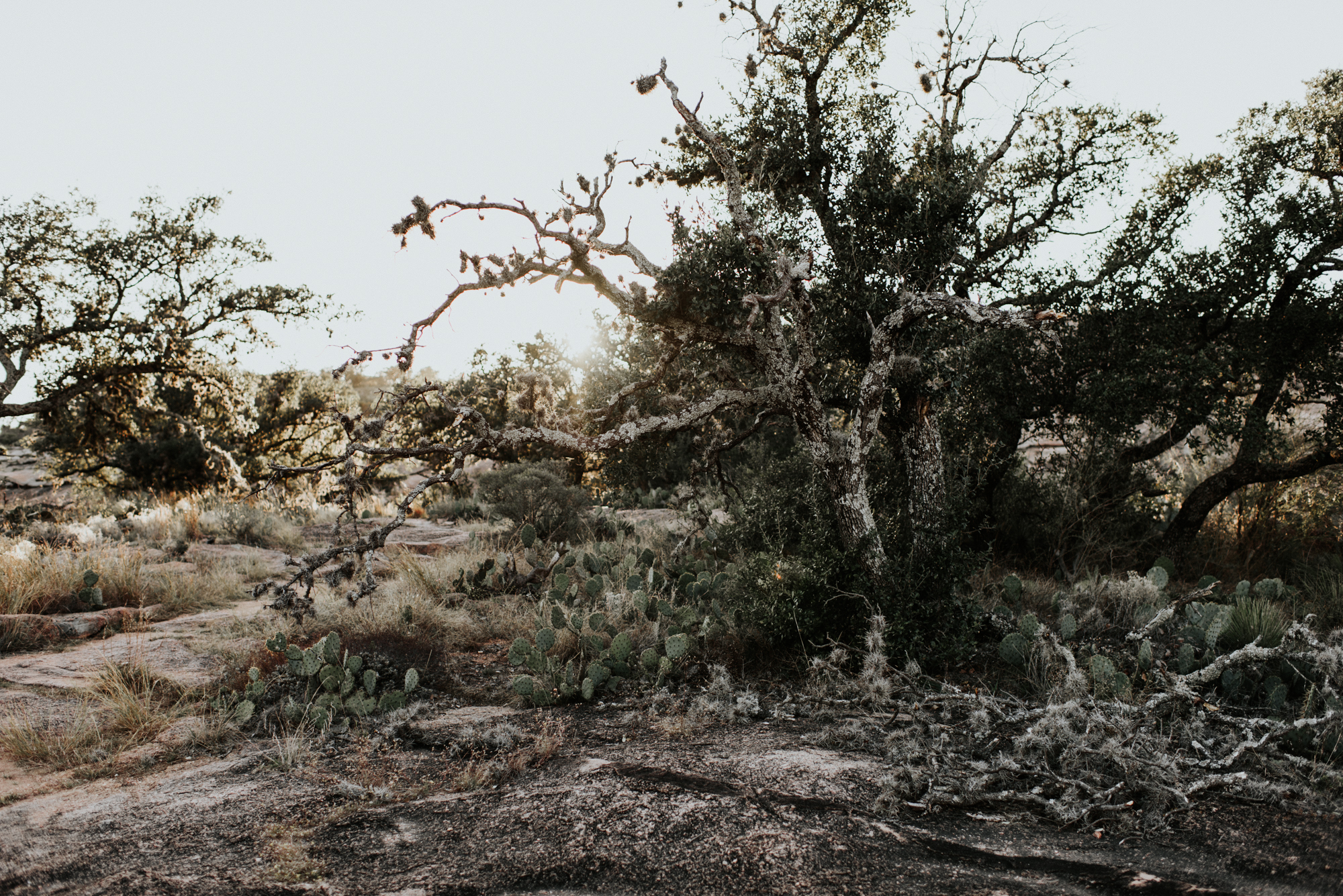 Couples Engagement Photographer, Adventure Photography Session in Enchanted Rock State Natural Area, Texas