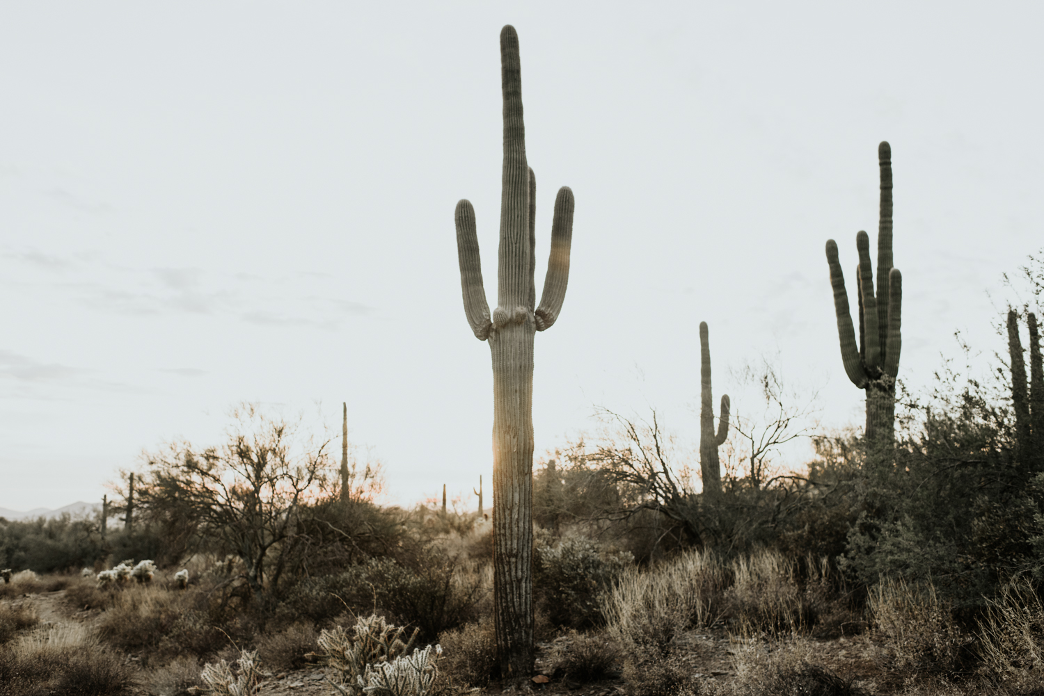 Couples Engagement Photographer, Adventure Engagement Session in Sedona, Arizona