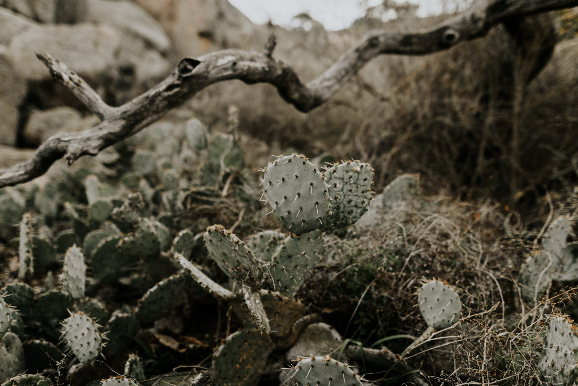 Adventure Destination Elopement Photographer