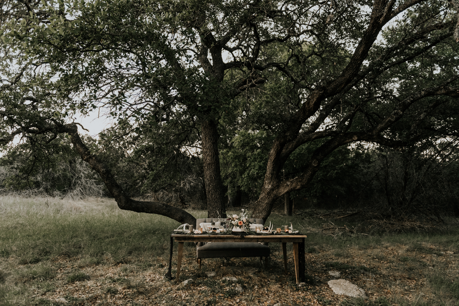 Intimate Vow Renewal in the Texas Hill Country