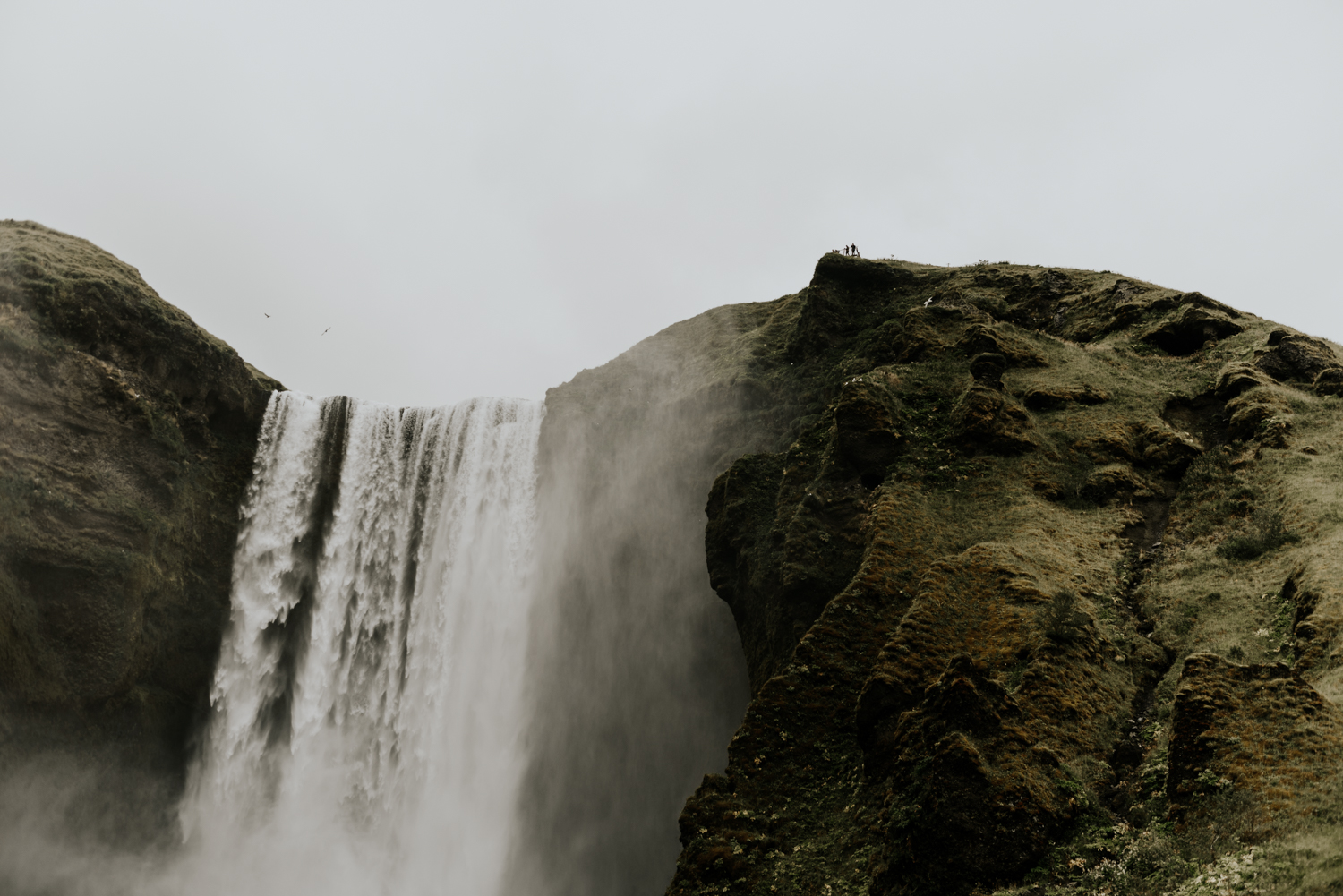 Couples Photo Session at Skogafoss Falls Iceland