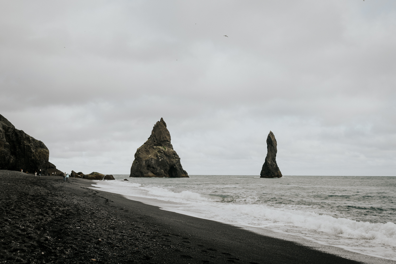 Black Sand beach Adventurous and fun Couples Session in Vik, Iceland