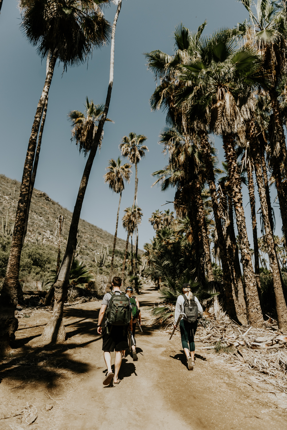 Couple and Guest Hiking to their Ceremony Site in Todos Santos