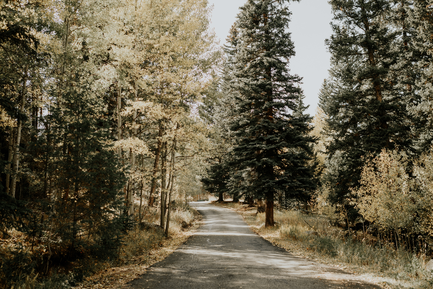 Intimate Fall Mountain Wedding in Meadow Creek, Pine,Colorado