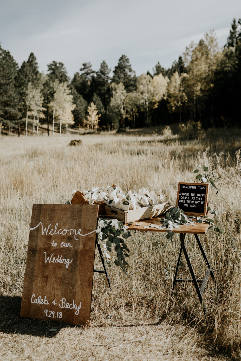 Intimate Mountain Wedding Ceremony Decor Photos in Meadow Creek, Pine Colorado